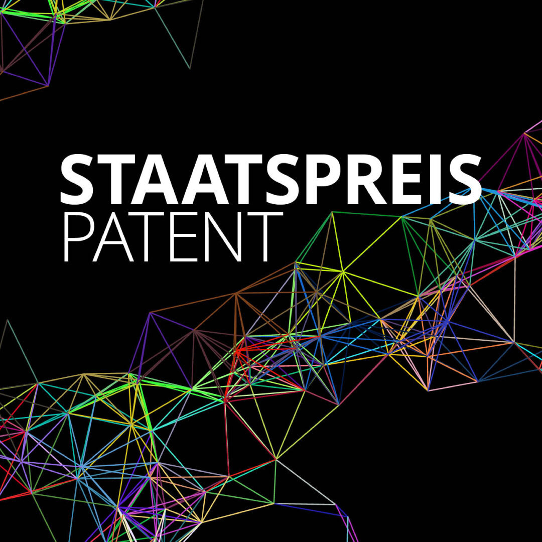 Schriftzug Stattspreis Patent mit bunter Gitternetz