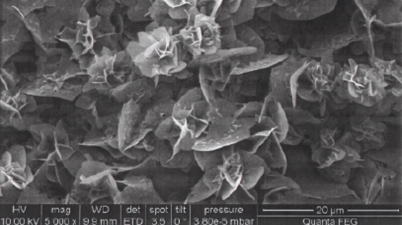 Mikroskop-Aufnahme von kristallinen Polyimiden