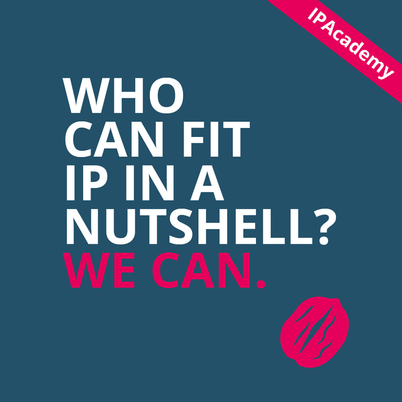 Who can fit IP in a Nutshell? We can.