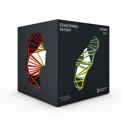 Trophäe des Staatspreis Patent für die Kategorie Patent des Jahres 2025, ein schwarzer Würfel mit Ausschnitten, die das buntes Gitternetz im Inneren sichtbar macht